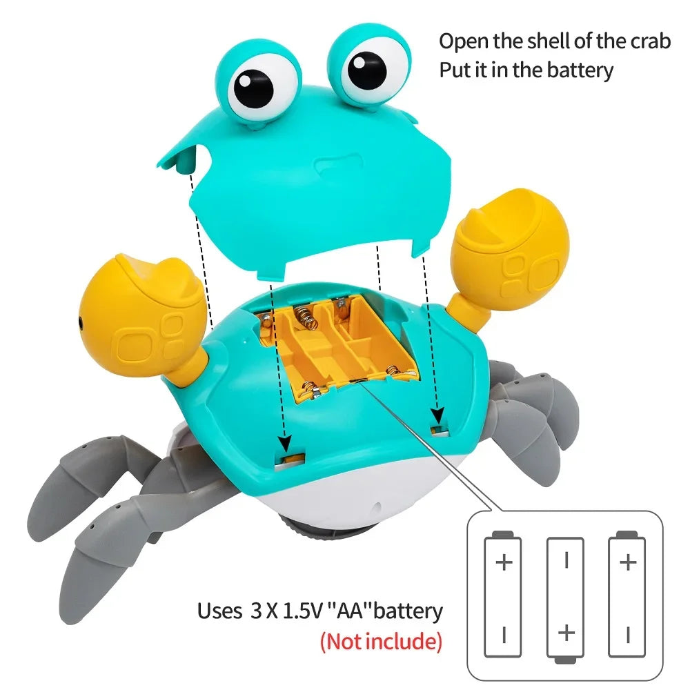 Crab Adventure Toy for Kids