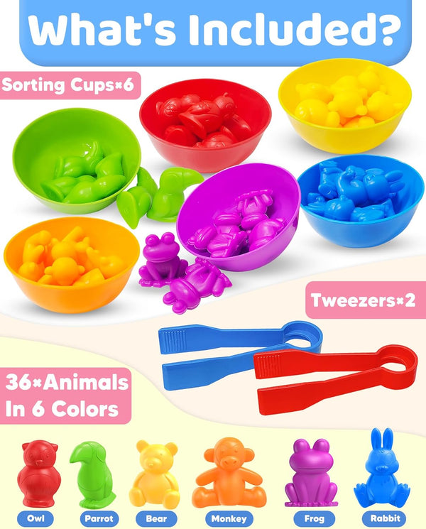 Counting Critter Fun Set