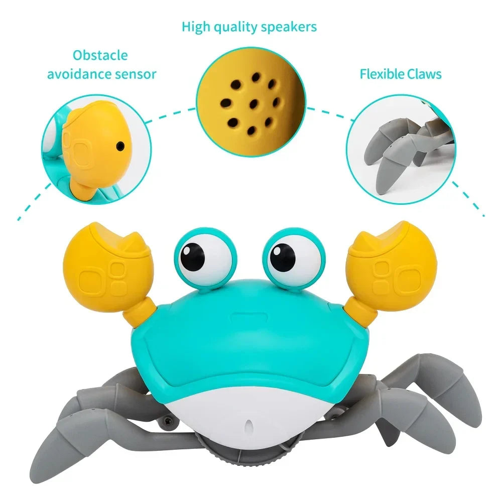 Crab Adventure Toy for Kids