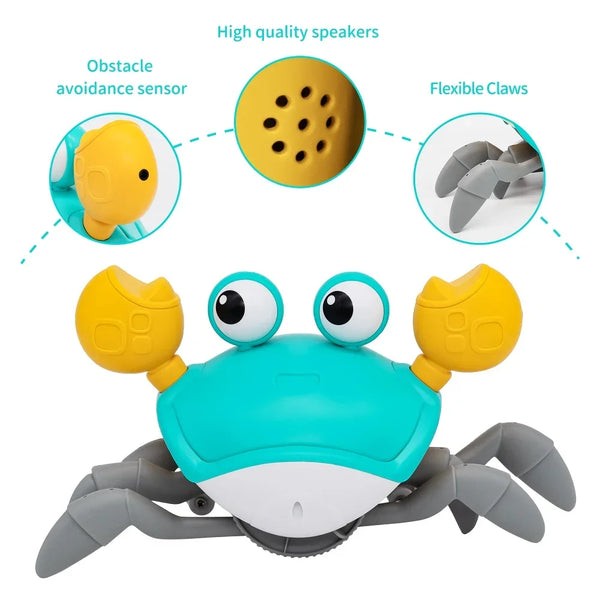 Crab Adventure Toy for Kids