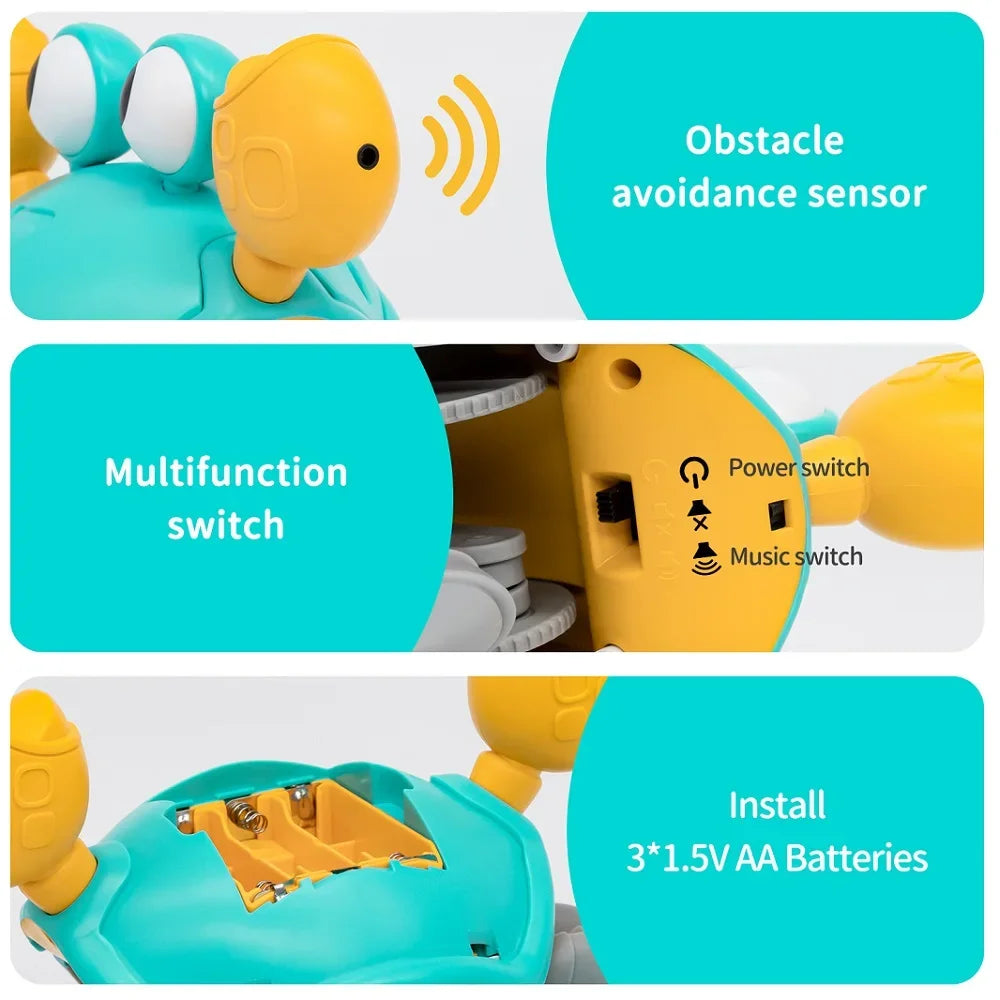 Crab Adventure Toy for Kids
